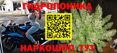 каннабис Кандалакша